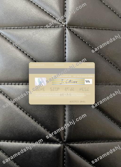 Netherlands ABN AMRO Bank visa debit card photolook back
